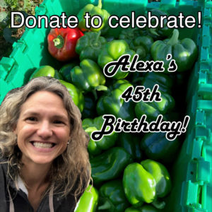 alexa's 45th birthday donation flyer